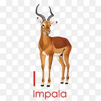 ����÷��¹-������