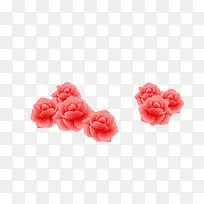 ��ɫõ�廨�ز�-������