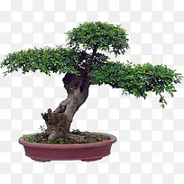 ��-������