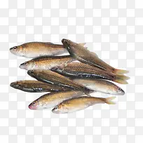 河鱼-空若网 河鱼-空若网