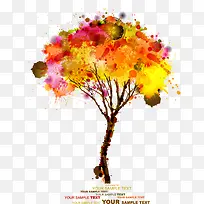 ����ˮ����ľ-������