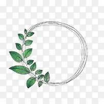 叶子和线圈-空若网 叶子和线圈-空若网