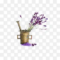 ×Ïɫ޹Ò²Ý-¿ÕÈôÍø ×Ïɫ޹Ò²Ý-¿ÕÈôÍø