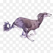 创意手绘水彩狗狗.-空若网 创意手绘水彩狗狗.-空若网