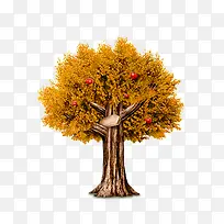 ��ͨ��ɫ��-������