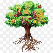 卡通水果树-空若网 卡通水果树-空若网