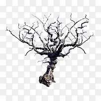 枯树1-空若网 枯树1-空若网