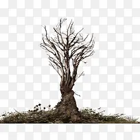 ��ɫ�����ɿ�������-������