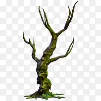 痛苦的树枯死的树树枝树干-空若网 痛苦的树枯死的树树枝树干-空若网