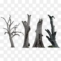 ������������֦-������