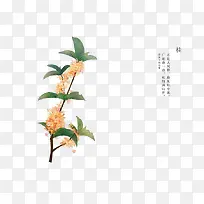 �ֻ滨��-������