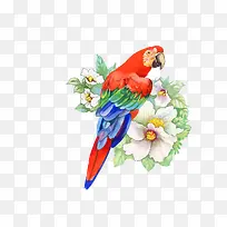 ����-������