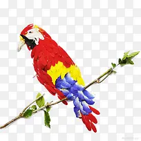 ��ɫ����ͼ��-������