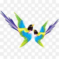 飞翔彩色喜鹊-空若网 飞翔彩色喜鹊-空若网