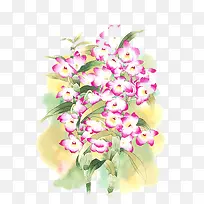 插画紫色小花-空若网 插画紫色小花-空若网