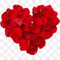 ��ɫ����õ�廨��-������