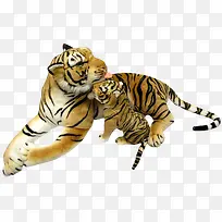 ��ֻ�ϻ�-������