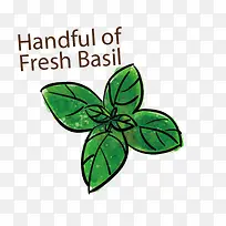 薄荷草-空若网 薄荷草-空若网