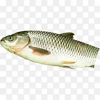 ������Ӱ����ӱ�-������