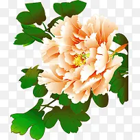 �ֻ�ĵ�������ӱڻ�-������