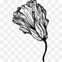 手绘蔬菜-空若网 手绘蔬菜-空若网