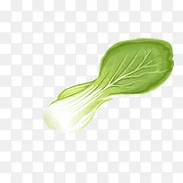 矢量油菜叶子-空若网 矢量油菜叶子-空若网