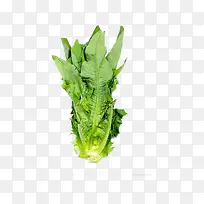 �߲�-������