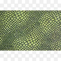 绿色皮纹背景-空若网 绿色皮纹背景-空若网
