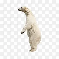 �����ܶ���-������