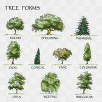 树-空若网 树-空若网