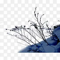 高清摄影冬天的雪景场景树木-空若网 高清摄影冬天的雪景场景树木-空若网