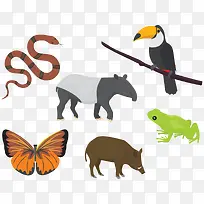 热带动物-空若网 热带动物-空若网