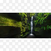 ������ˮ��֦����-������