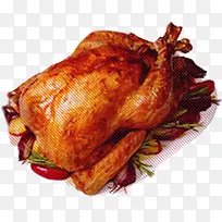 火鸡-空若网 火鸡-空若网