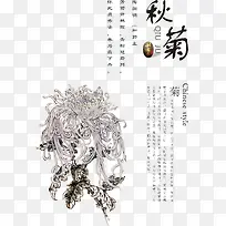 菊花广告设计-空若网 菊花广告设计-空若网