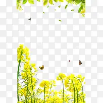 春季美丽油菜花装饰边框-空若网 春季美丽油菜花装饰边框-空若网