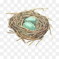 水彩合成鸟窝鸟蛋-空若网 水彩合成鸟窝鸟蛋-空若网