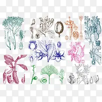 素描蔬菜下载-空若网 素描蔬菜下载-空若网