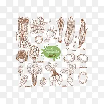 �߲��������-������