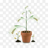 创意钞票树-空若网 创意钞票树-空若网