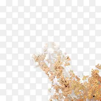 ºÍ·çÊ÷Ö¦-¿ÕÈôÍø ºÍ·çÊ÷Ö¦-¿ÕÈôÍø