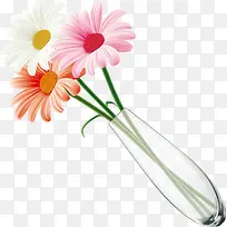 菊花摆设矢量设计-空若网 菊花摆设矢量设计-空若网