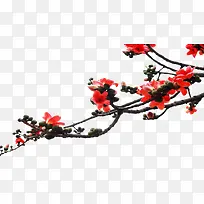 树枝上的木棉花-空若网 树枝上的木棉花-空若网