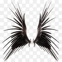 黑色翅膀-空若网 黑色翅膀-空若网