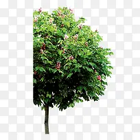 ��Ը��-������