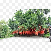 ��Ը����ɫ-������