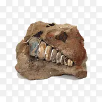 ���ݻ�ʯ-������