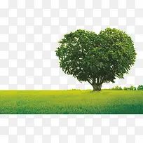 绿树草原-空若网 绿树草原-空若网