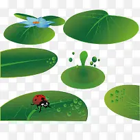 卡通荷叶素材,淘宝素材,绿色,-空若网 卡通荷叶素材,淘宝素材,绿色,-空若网
