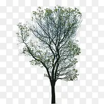 ������ɪ��������-������